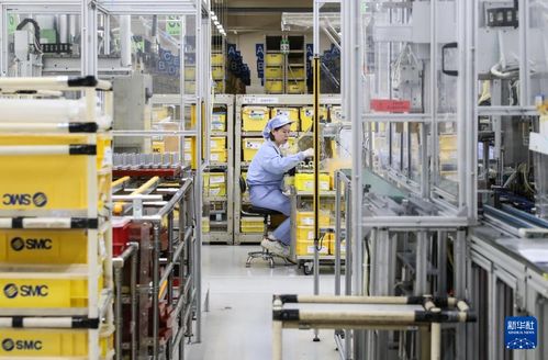 凝聚起高质量发展的强大信心和力量 数据处理服务作为新质生产力引擎